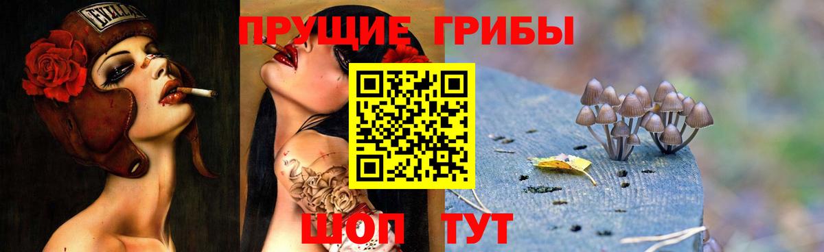 Галлюциногенные грибы MAGIC MUSHROOMS  Вход с VPN  Бутурлиновка  где купить наркоту  Псилоцибиновые грибы Psilocybe 